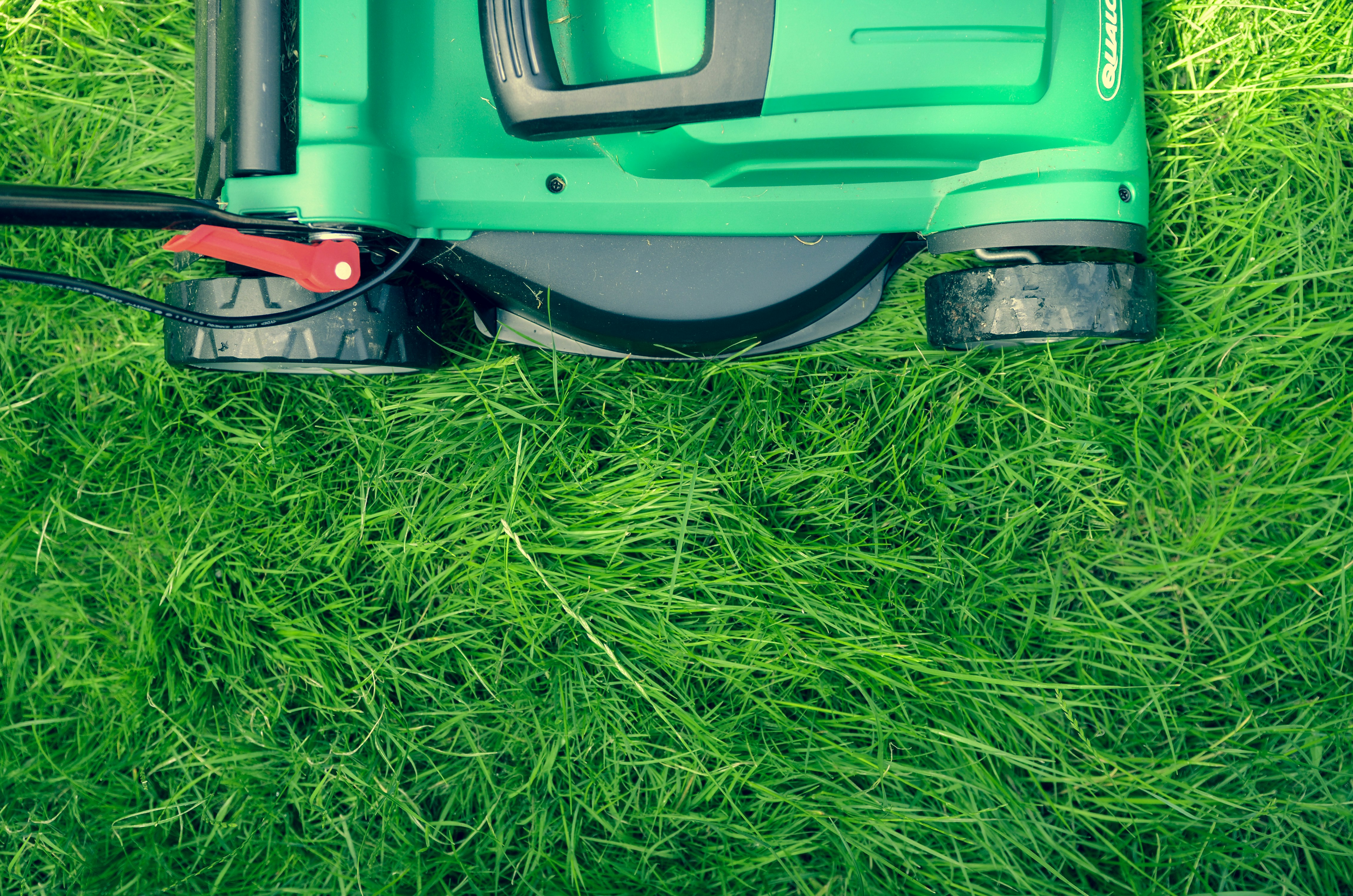 Office park grounds landscaping and maintenance