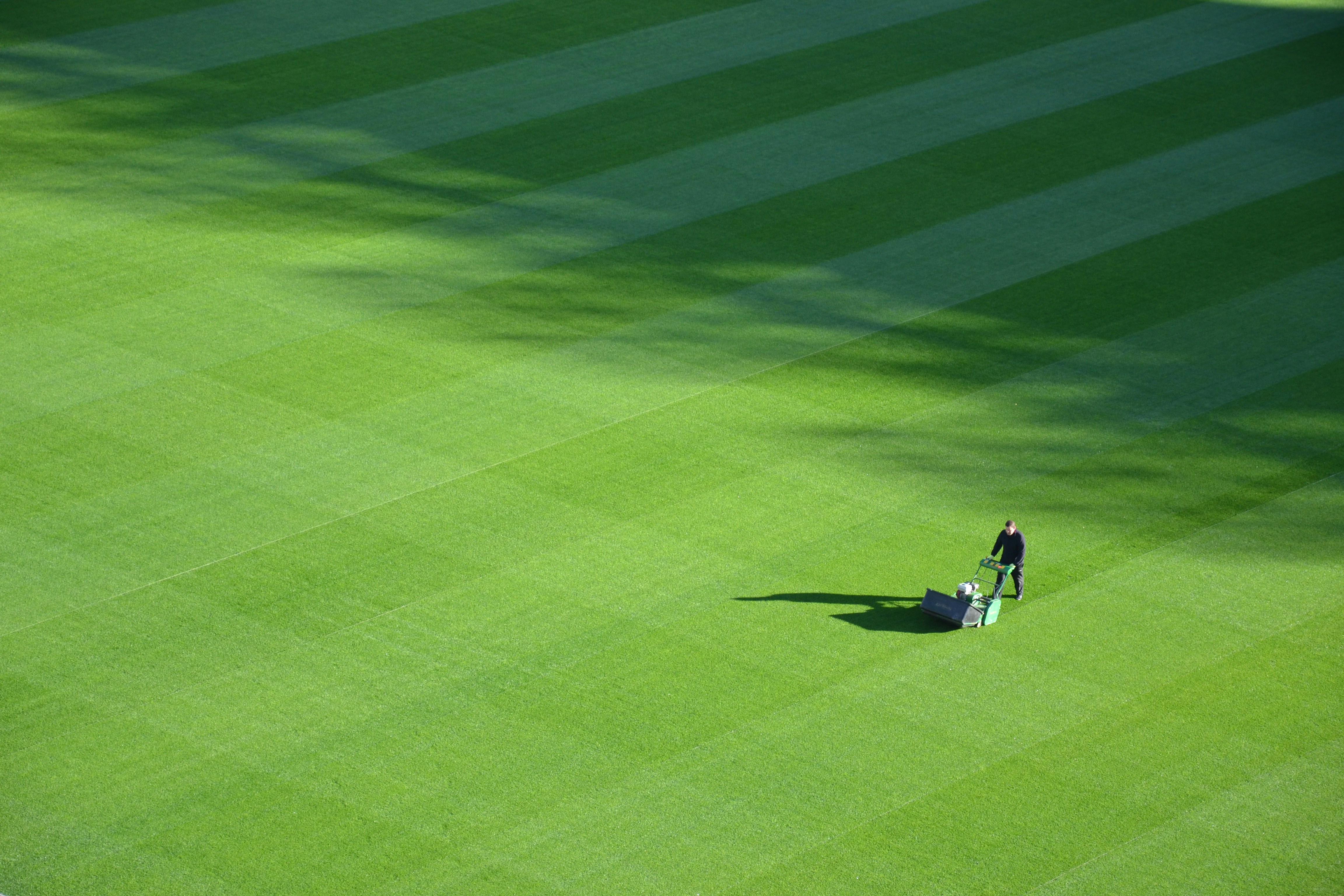 Property landscape maintenance and seasonal care