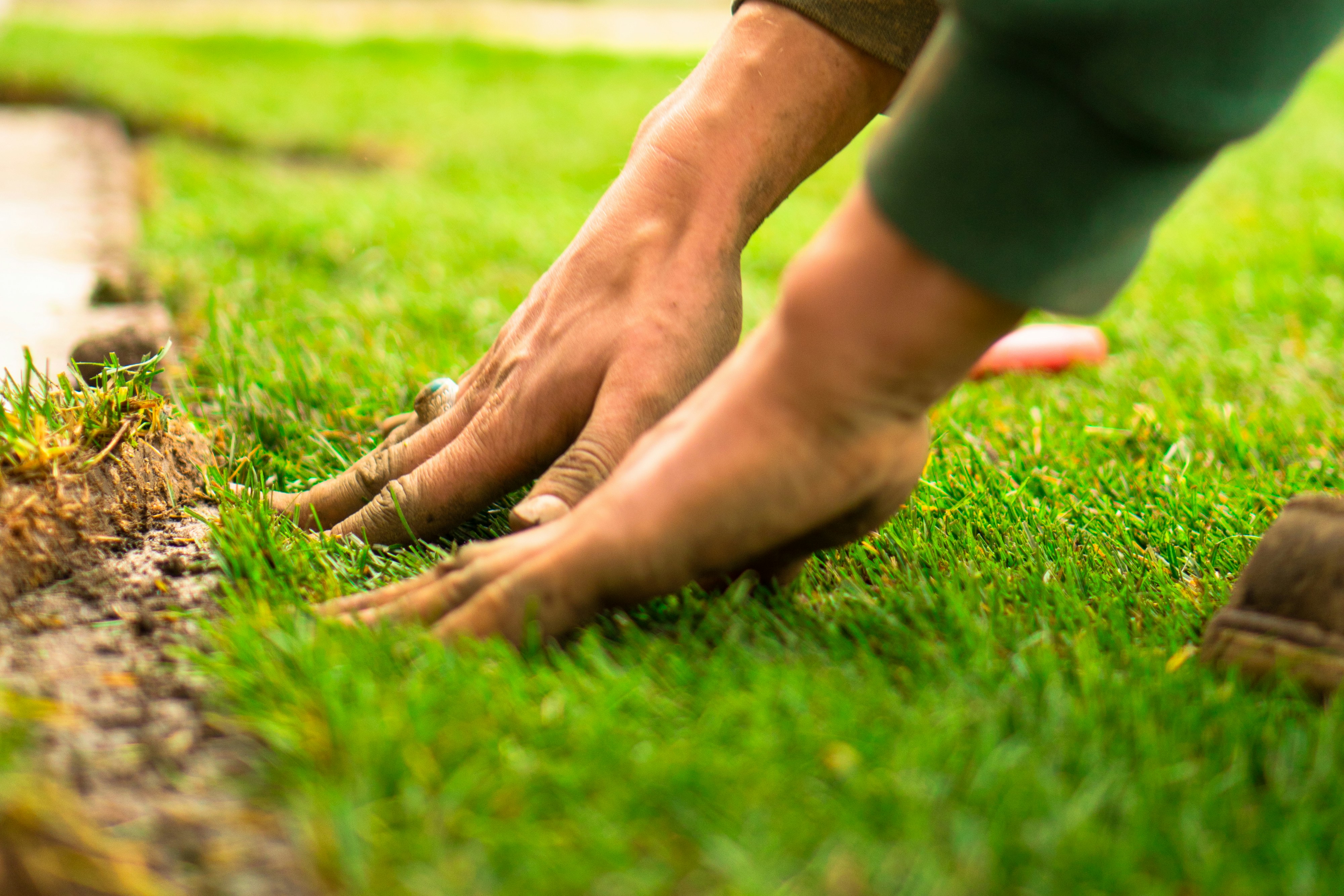 Seasonal grounds maintenance and landscape service