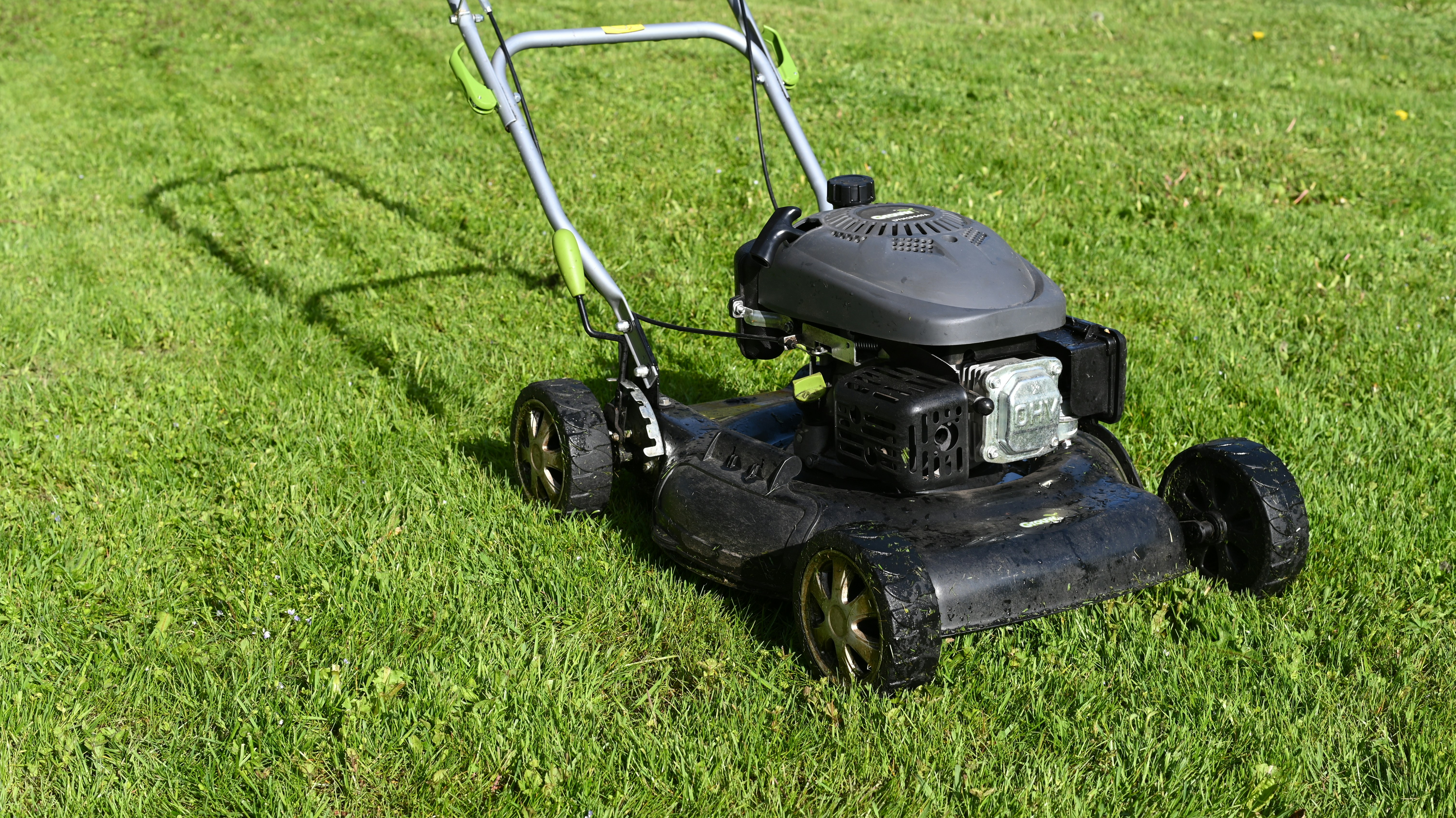 Landscape grounds care and maintenance service